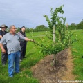 Bild17