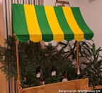 Bild14