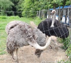 Bild09